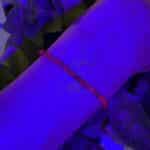 Pulseira facetada Rubi 3mm - Imagem 2