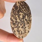 Dendrita Psilomelana cabochão - cod 1